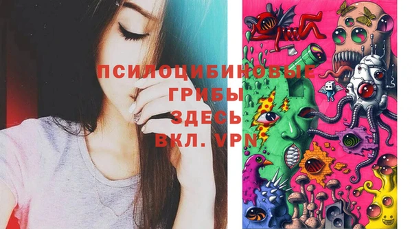 дмт Магас