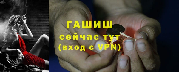 дмт Магас