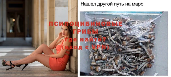 ECSTASY Магадан