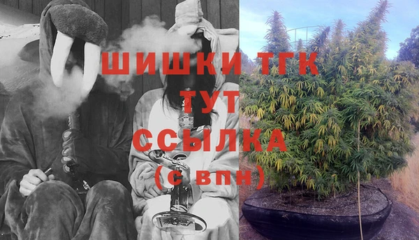 дмт Магас
