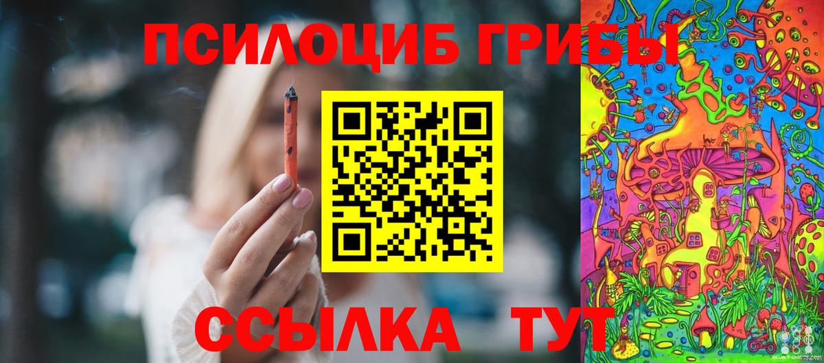 Галлюциногенные грибы прущие грибы  Вход с VPN  Химки 