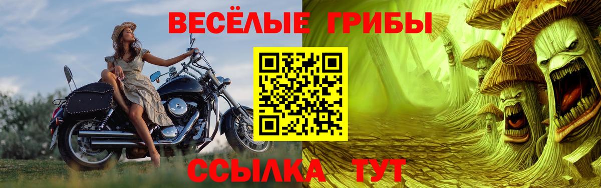 Галлюциногенные грибы ЛСД Химки